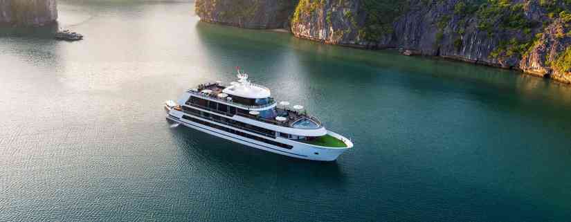 Stellar of The Seas