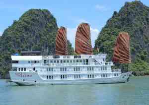 Paloma cruise