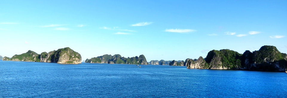 White Dolphin Cruise