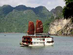 Violet cruise