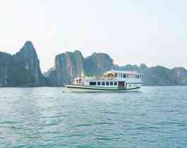 White Dolphin Cruise