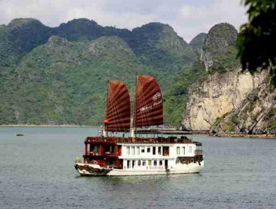 Violet Cruise 2 days