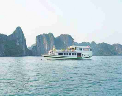 White Dolphin Cruise 3 days