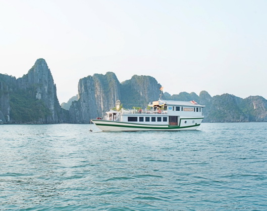 White Dolphin Cruise 3 days