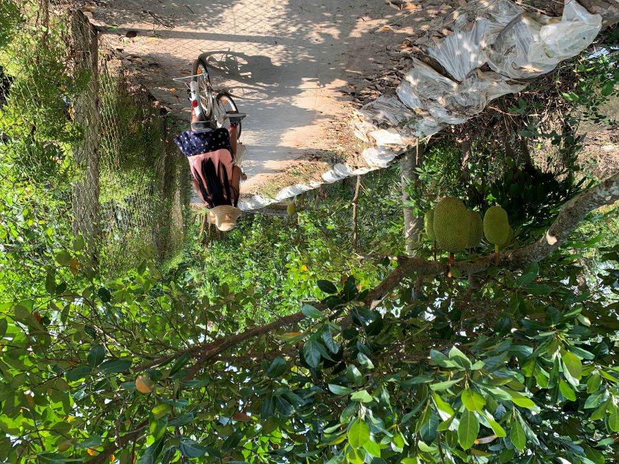 Cycling Ben Tre
