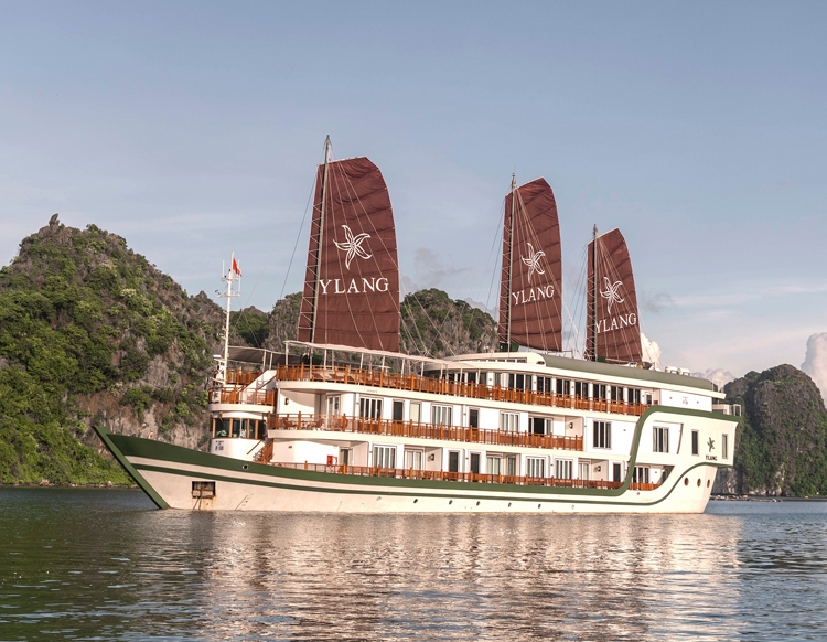 Ylang cruise
