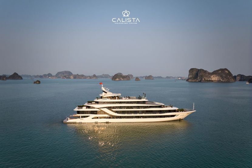 Calista Cruise