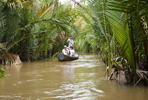 Mekong Delta Trip