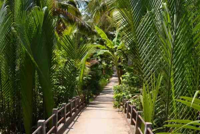 Cycling Mekong 1 day - Pristine Ben Tre