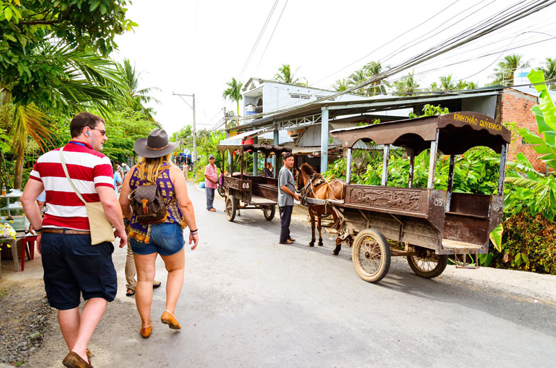 Horse Cart to visit Mekong Villages