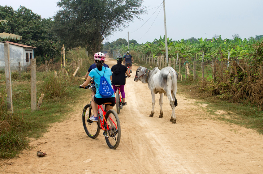 Cycling in the Village