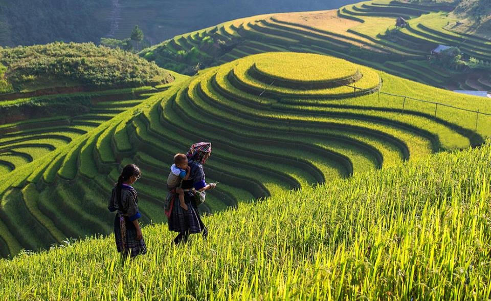 Vietnam