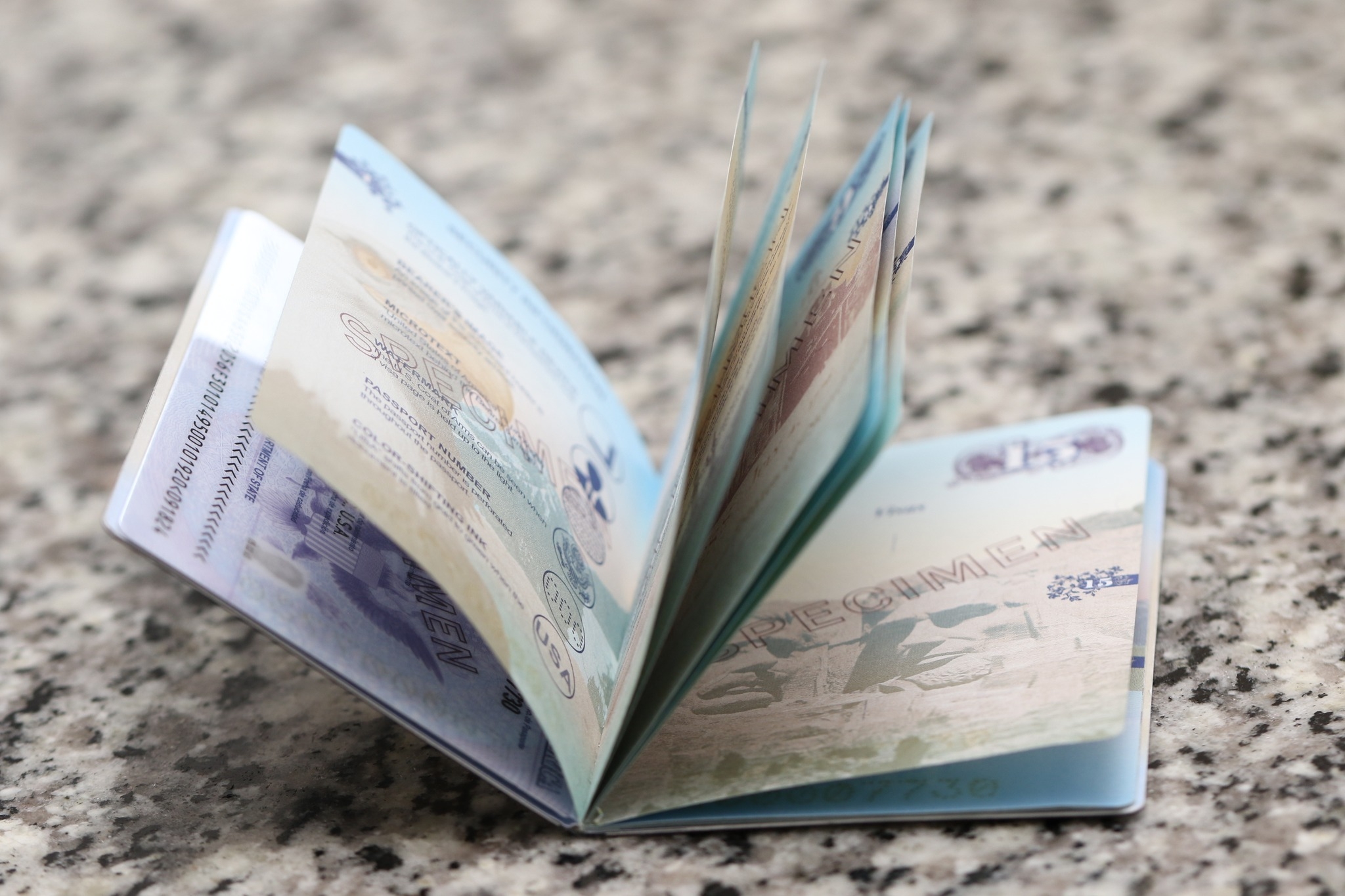 Loss of Foreign Passports