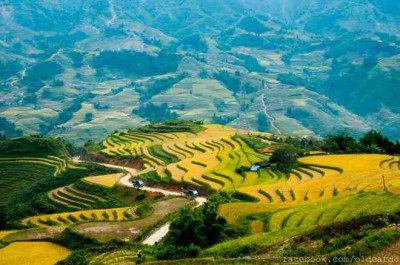 Sapa markets Exploring - Can Cau & Bac Ha Market