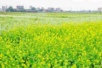 Explore the riverside life by Cycling