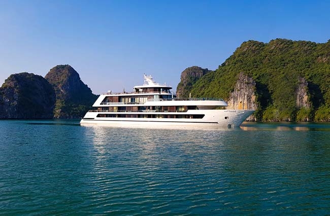 Stellar of the Seas