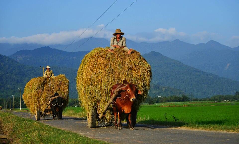 Nha Trang Countryside