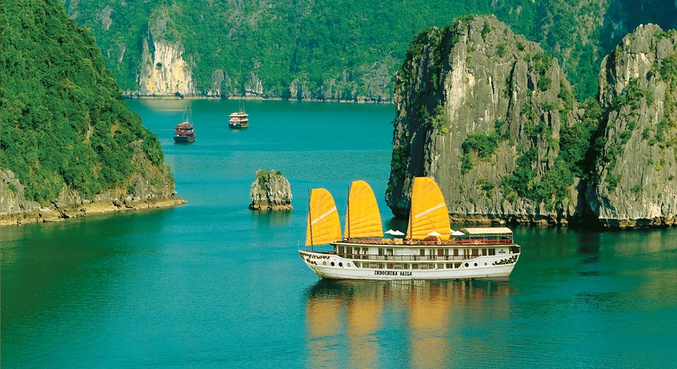 Cruise in Halong Bay