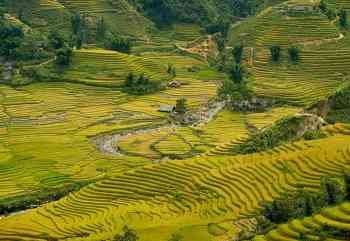 Sapa Classic Tour 1 Night in Hotel