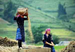 Sapa Adventure - 02 Nights Homestay