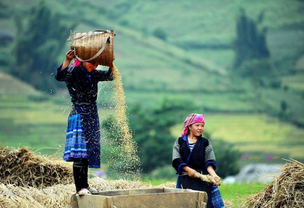 Sapa Adventure - 02 Nights Homestay