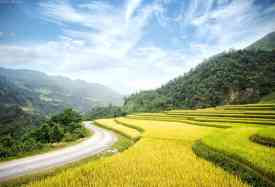 Best Vietnam Tour