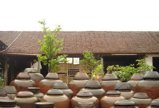 Duong Lam Village - The Journey to the Origin