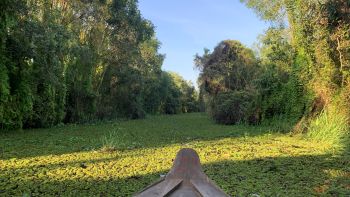Vietnam Cambodia Tour from Ho Chi Minh City