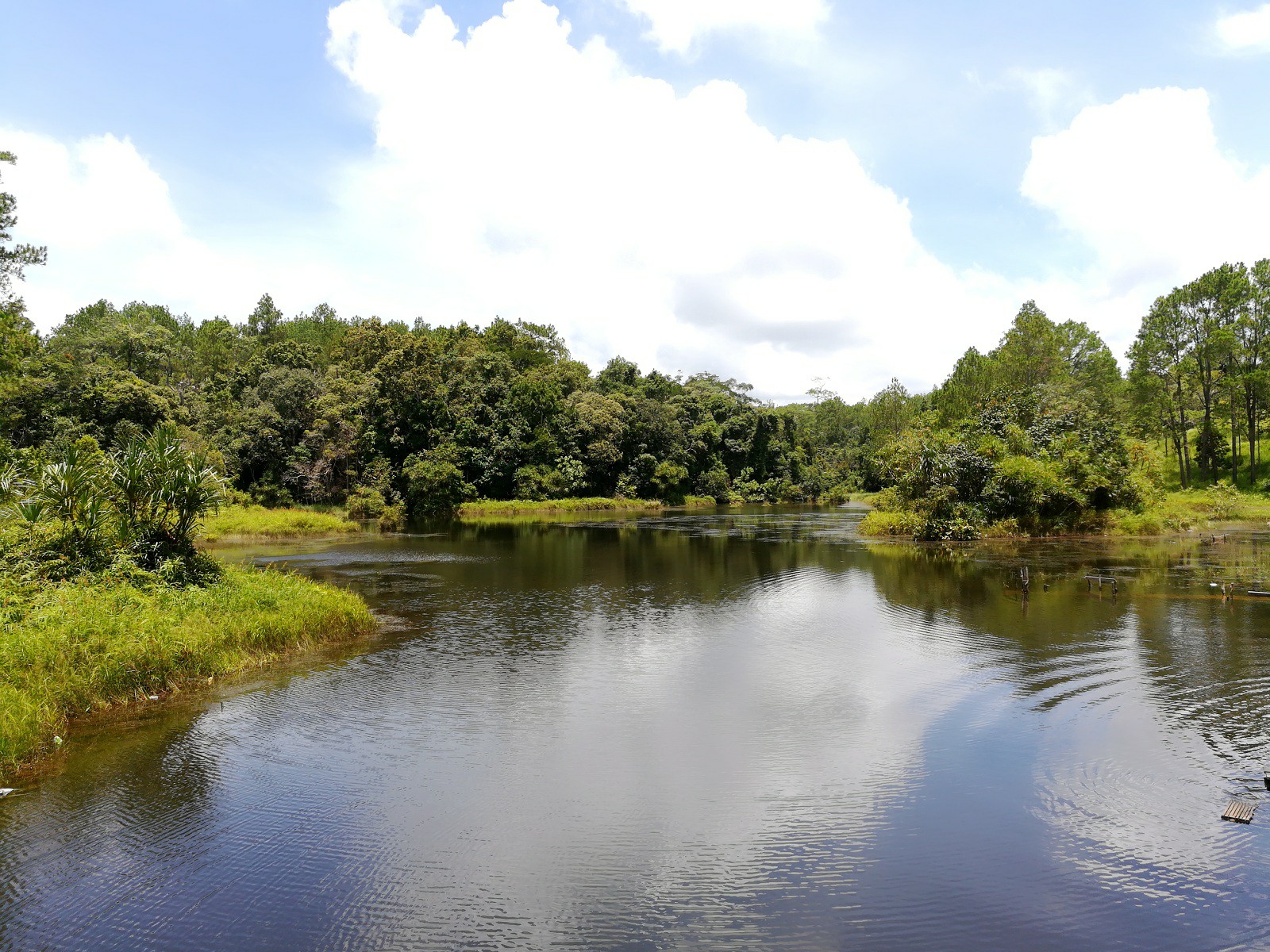 Kirirom National Park Full Day Tour From Phnom Penh