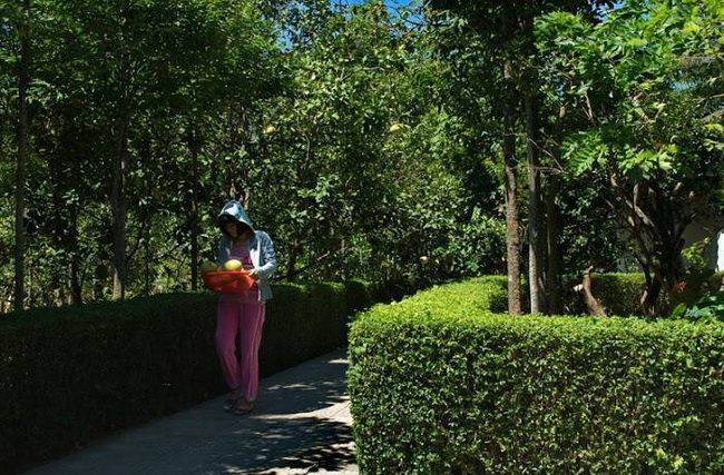 Full Day Cycling Tour to Thuy Bieu Village