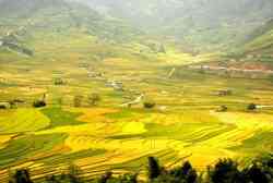 Ha Giang-Sapa 7 days 6 nights
