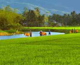 Countryside Biking Safaris