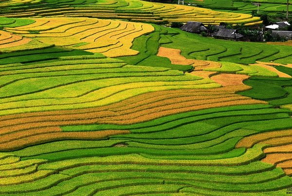 Pu Luong  Mai Chau hiking - The Great Combination