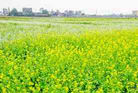 Explore the riverside life by Cycling