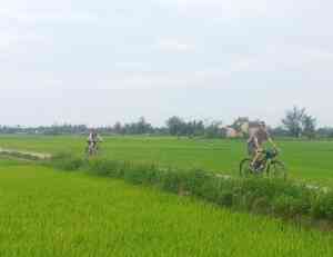 Tra Que Biking tour