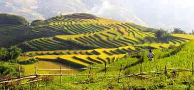 Daily Victoria Sapa and Topas Ecolodge