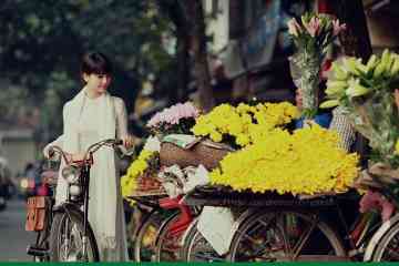The Highlights of Vietnam