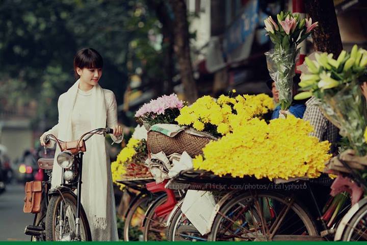 The Highlights of Vietnam