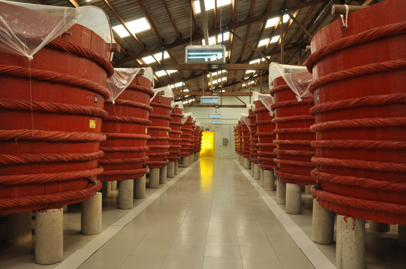Fish Sauce Factory